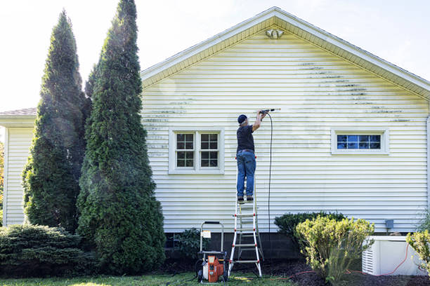 Paint Preparation in Bald Kno, AR